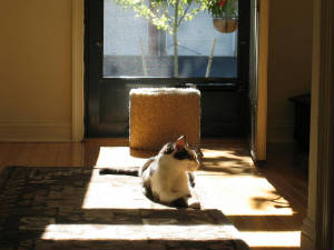 picture157.jpg