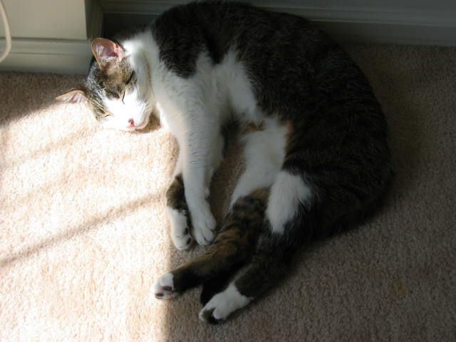 100_0008_2.jpg
